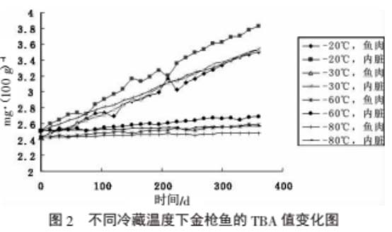 金槍魚低溫冰箱