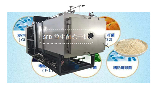 益生菌凍干機(jī)工作原理