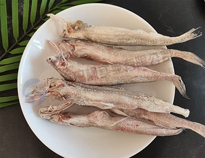 海鮮魚凍干：食品凍干技術(shù)應(yīng)用于龍頭魚冷凍干燥原理