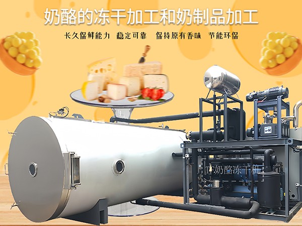 冷凍干燥機|凍干機|真空冷凍干燥機|大型冷凍干燥機|食品凍干機|制藥真空冷凍干燥機|食品凍干設(shè)備|制藥冷凍干燥機