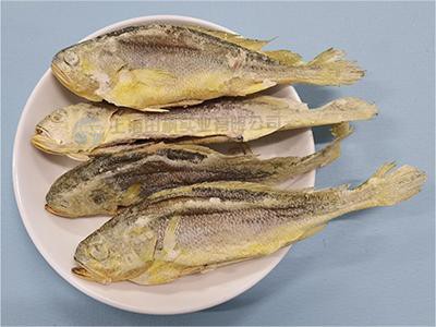 海魚凍干：海鮮凍干機(jī)應(yīng)用黃花魚凍干優(yōu)點(diǎn)