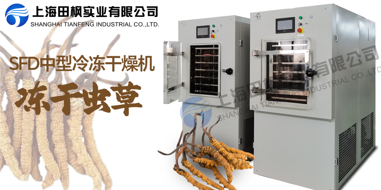 凍干機(jī)制作凍干蟲(chóng)草的五大優(yōu)勢(shì)