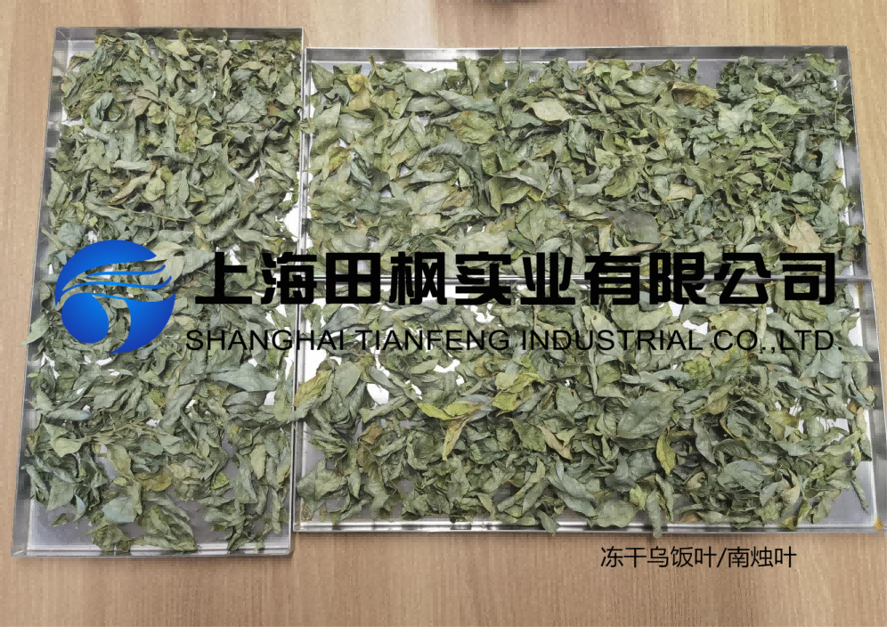 圖片 1(1).png